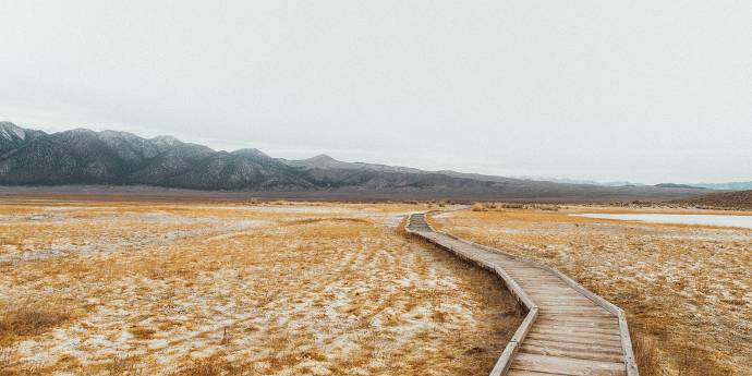 Boardwalk in a field