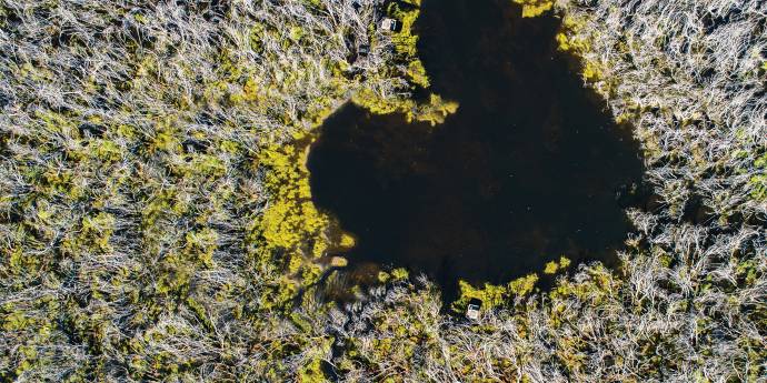 Looking down on forest and heart shaped lake