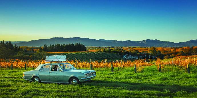 Matt Sutherland Dog point Vinyard director standing in vineyard