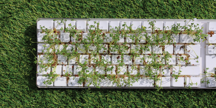 white keyboard on grass