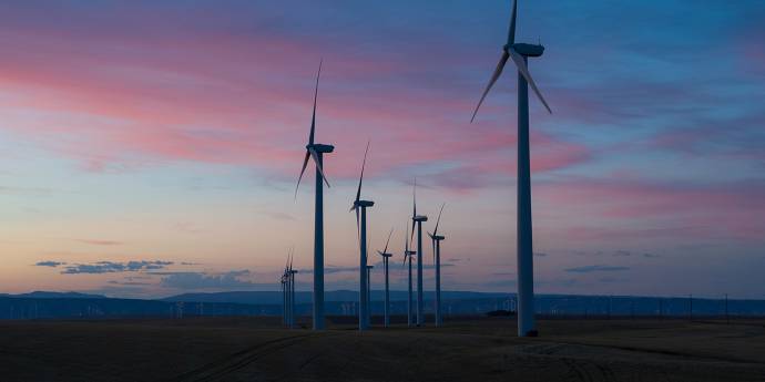 Windmills in landscape at dusk