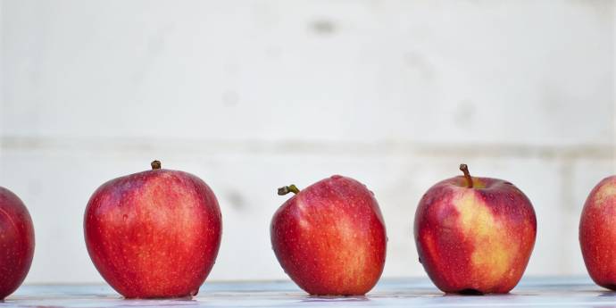 Red apples lined up